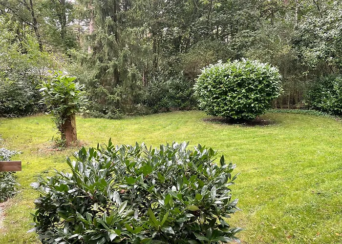 Vosseveen 62